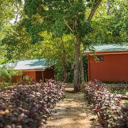 Pinilla Highlands Incredible Mountain Views Apartment Tamarindo Exterior photo