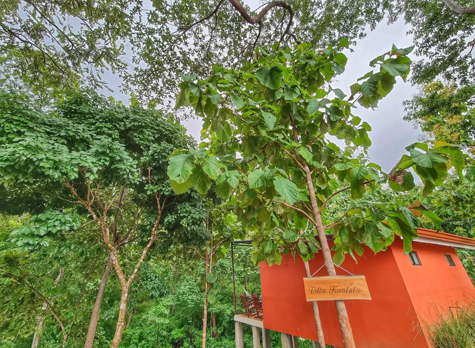 Pinilla Highlands Incredible Mountain Views Apartment Tamarindo